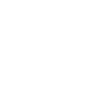 ai_icon